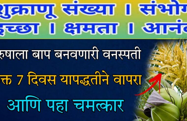 आयुर्वेदाचा चमत्कार ! पुरुषाला बाप बनवणारी आहे ही वनस्पती.. फक्त 7 दिवस या पद्धतीने वापरा आणि पहा चमत्कार..