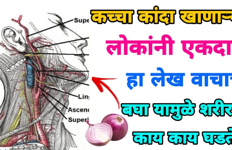 कच्चा कांदा खाण्याऱ्या लोकांनी एकदा पहाच.. यामुळे आपल्या शरीरात काय-काय घडते पहा ! मग ठरवा कांदा खायचा की नाही..