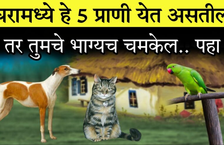 घरामध्ये हे 5 प्राणी येत असतील तर तुमचे भाग्यच चमकेल.. बघा काय देतात संकेत..